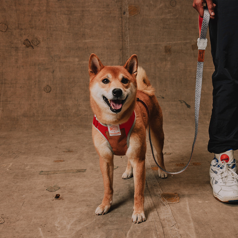 Peitoral para Cachorros Air Mesh Ajustável Reebok Suede