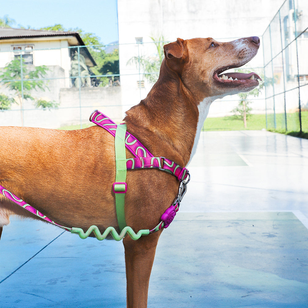 Peitoral Para Cachorros Zee Dog Softer Walk Antipuxão H3D Jelly