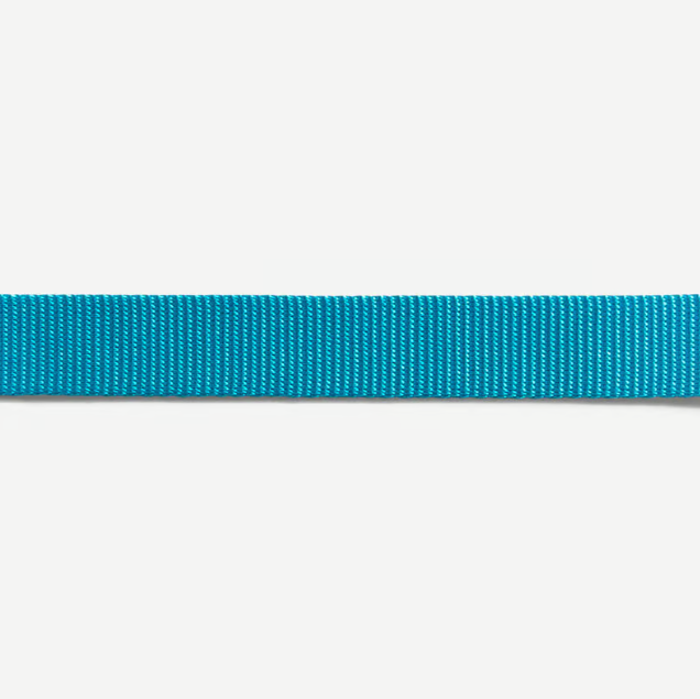 Coleira Para Cachorros Ultimate Blue Zee Dog