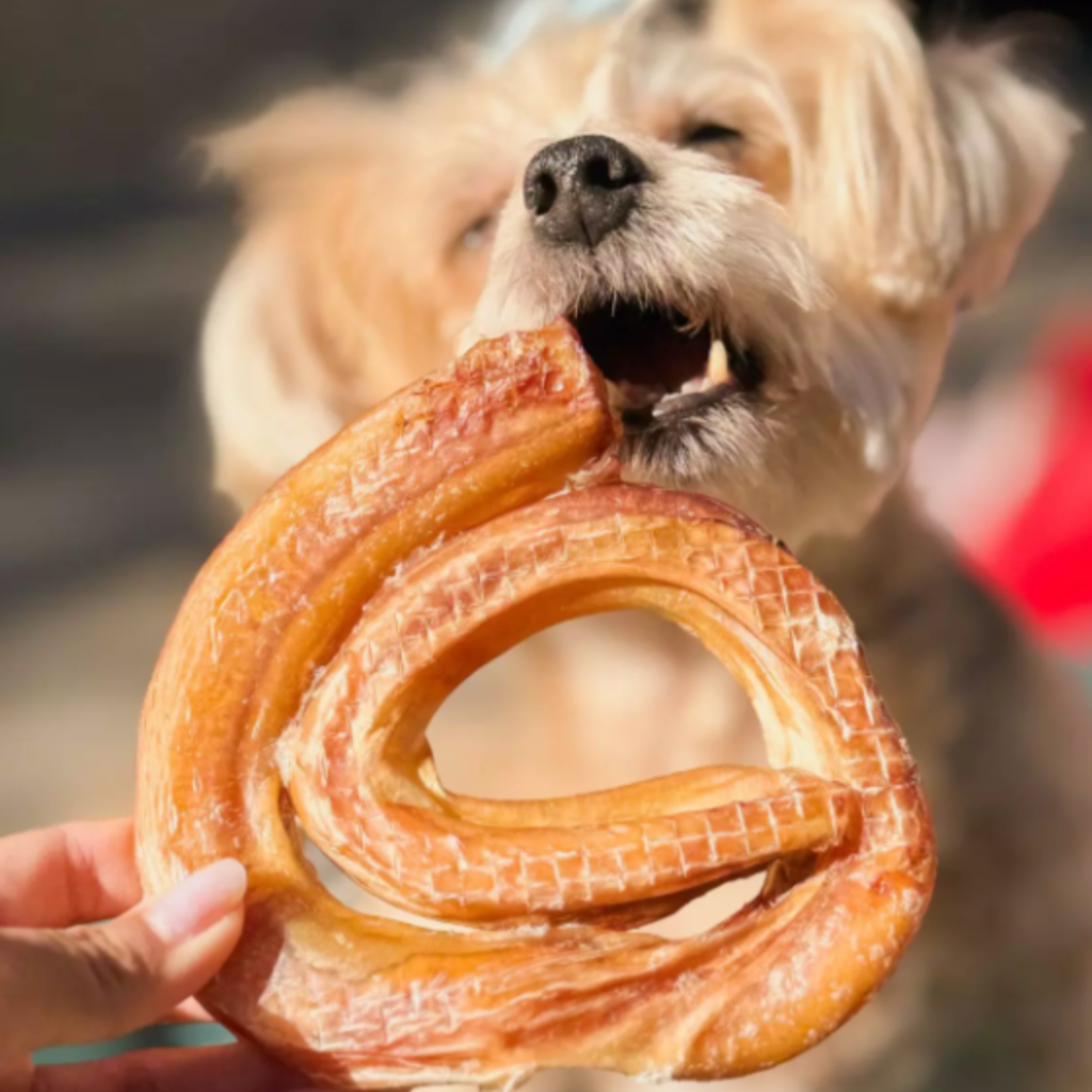 Petisco Natural Para Cães Pet Bem Vergalhão