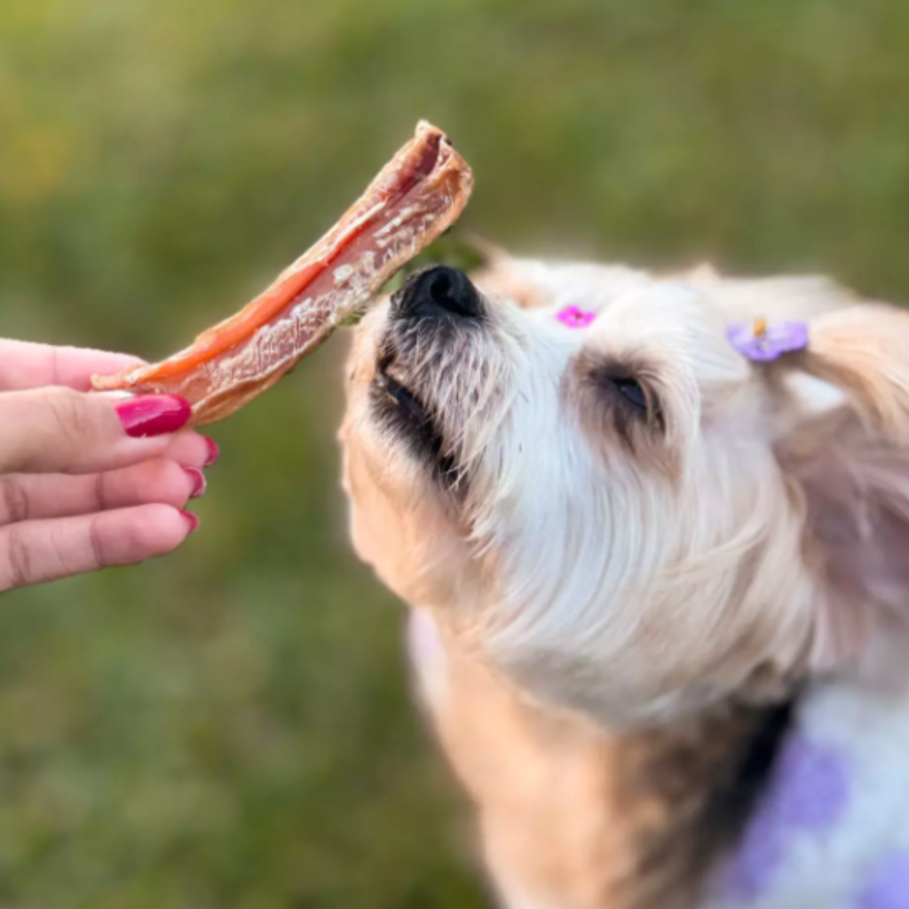 Petisco Natural Para Cães Pet Bem Vergalho Bovino Stick 100g
