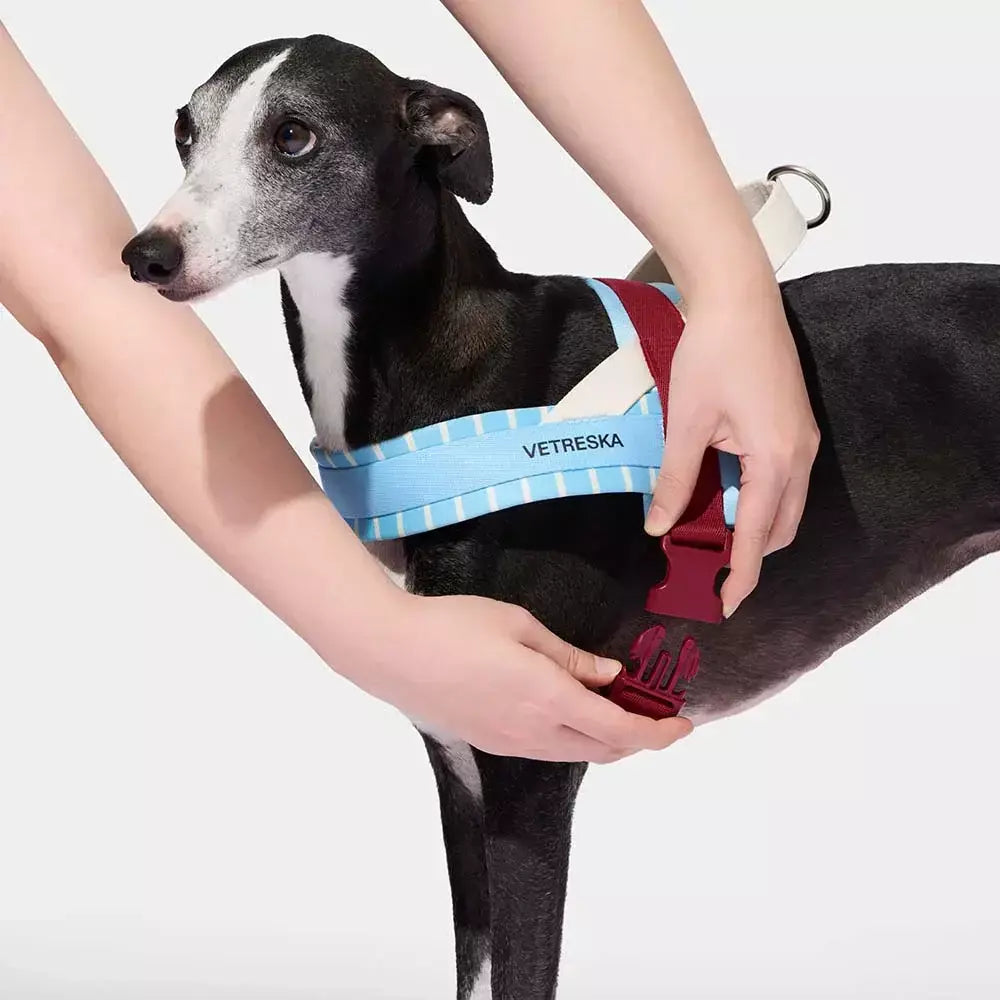 Vetreska Mist & Merlot Pet Harness & Leash Set - Conjunto Peitoral e Guia