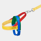 Vetreska Peitoral Chroma e Guia Yellow Conjunto para Cachorro