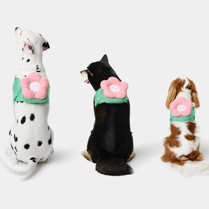 Vetreska Flora Pet Backpack, Harness & Leash 3 In 1 Set Pet Flora - Conjunto Peitoral, Mochila e Guia