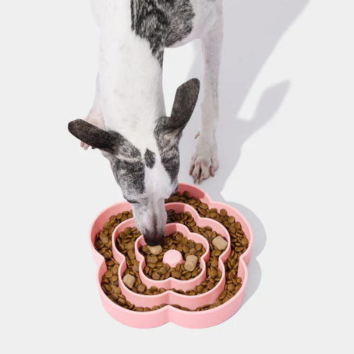 Vetreska Flora Silicone Pet Comedouro Lento para Cachorro