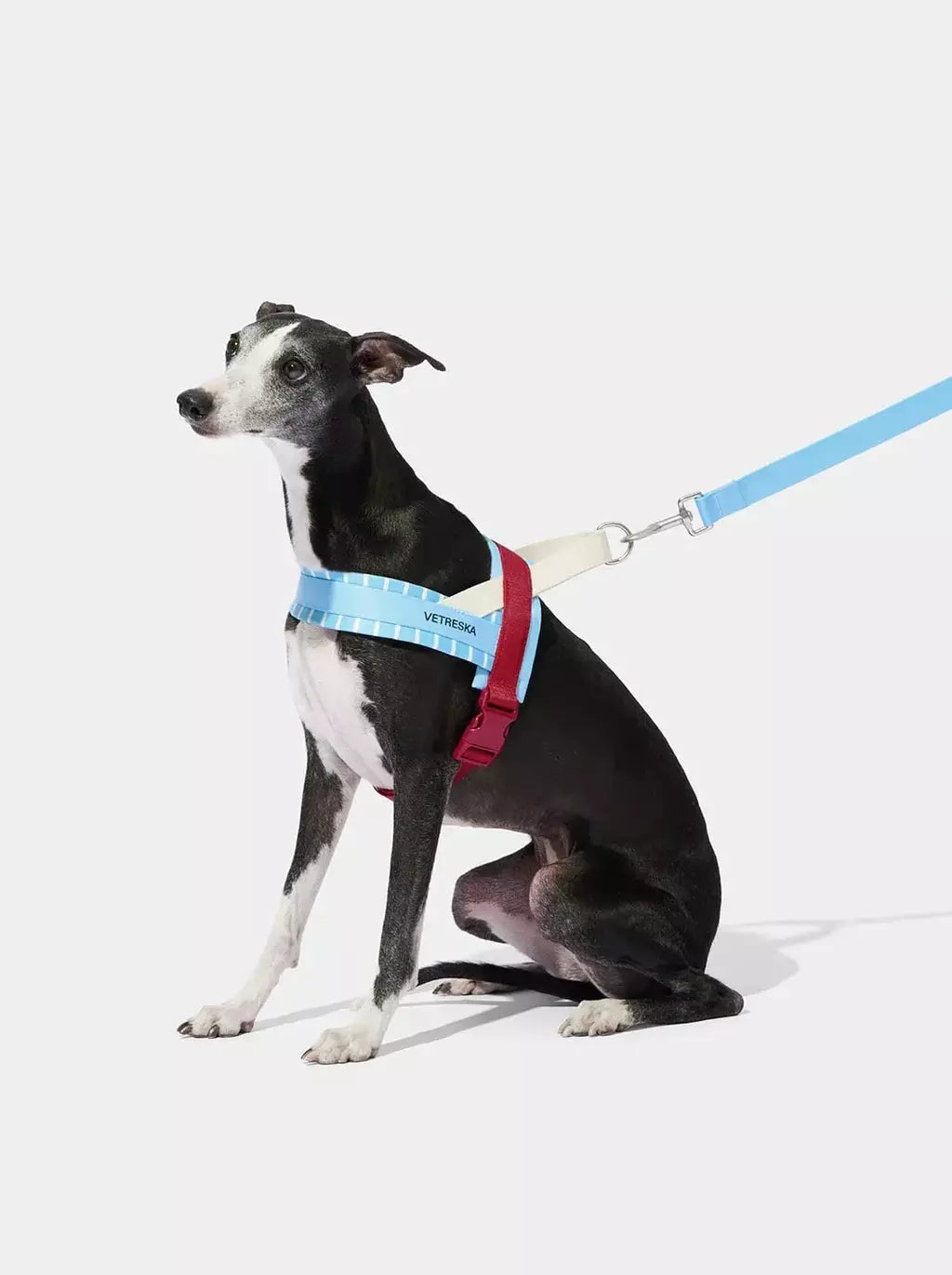Vetreska Mist & Merlot Pet Harness & Leash Set - Conjunto Peitoral e Guia