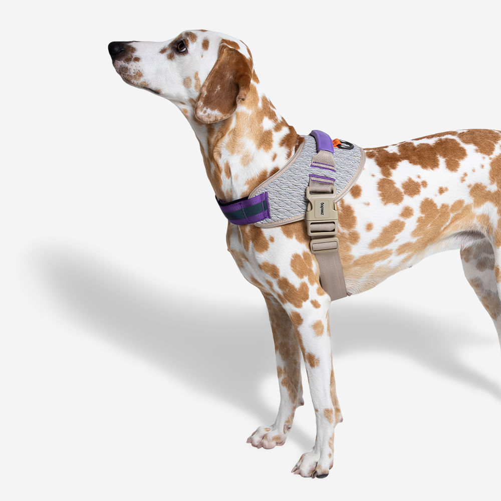 Peitoral para Cachorros ZeeDog Fly Harness ACG