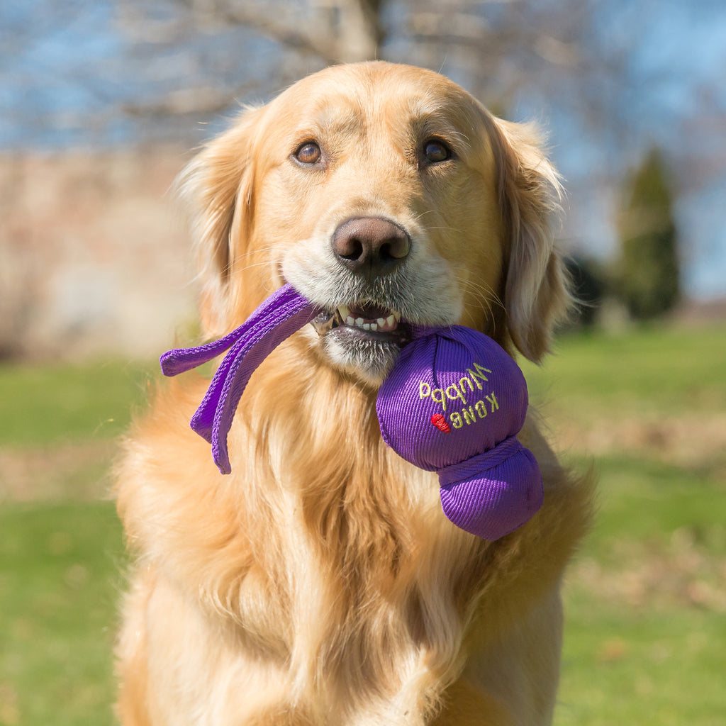 Kong Wubba - Brinquedo para cachorro