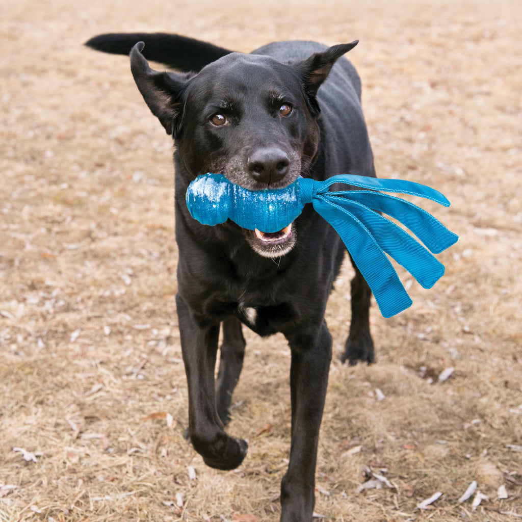 Kong Wubba Comet - Brinquedo para Cachorro