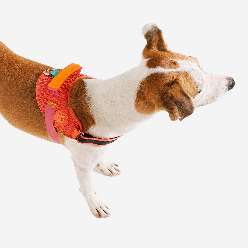 Peitoral para Cachorros ZeeDog Fly Harness Gazelle