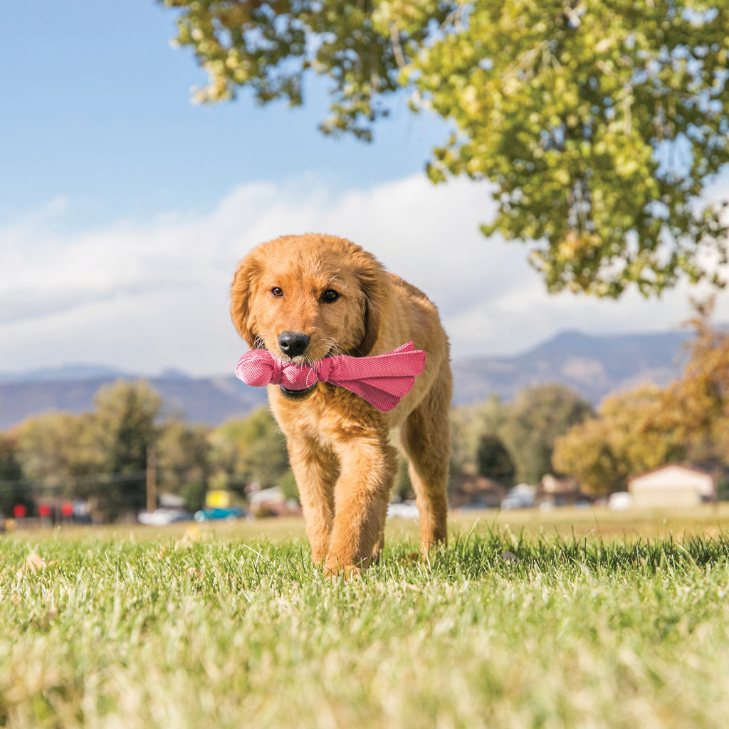 Kong Wubba Puppy - Brinquedo para cachorro