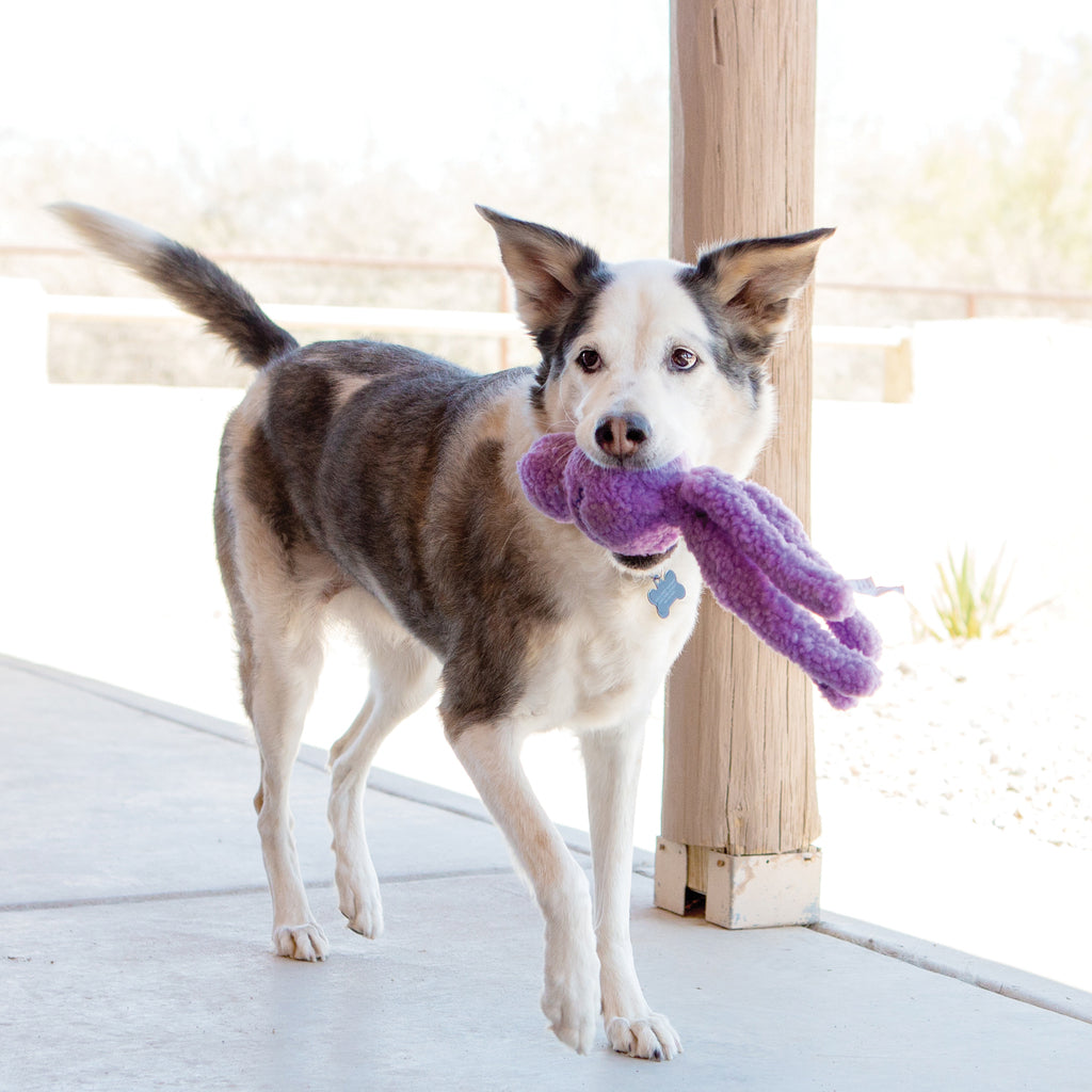 Kong Wubba Snugga - Brinquedo para cachorro