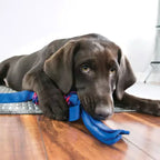 Kong Tugga Wubba Grande - Brinquedo para cachorro