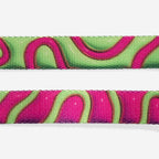 Zee Dog Peitoral para Cachorros H H3D Jelly