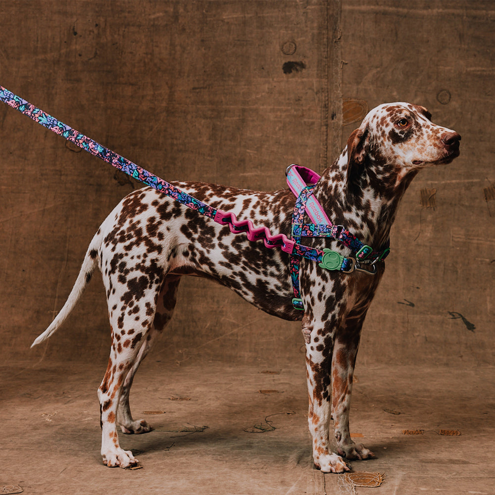 Peitoral Antipuxão SofterWalk para Cachorros Reebok Aerobic
