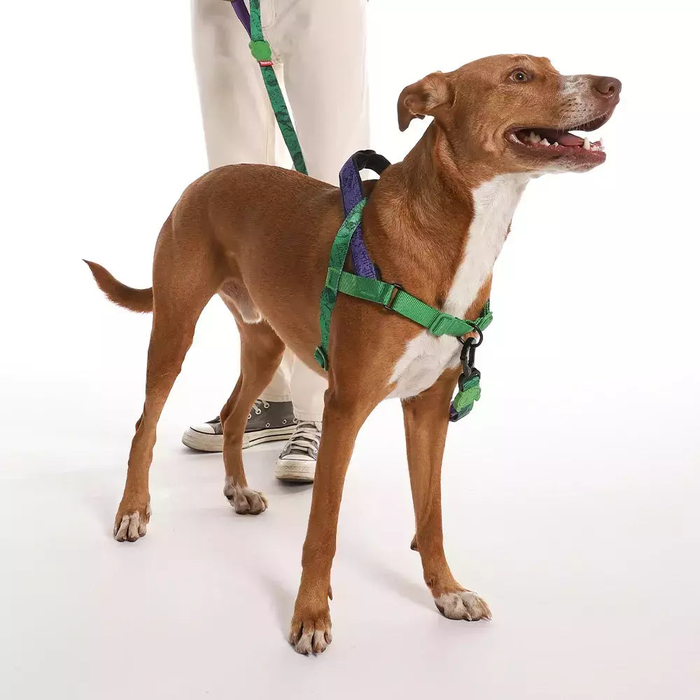 Peitoral Para Cachorros Zee Dog Softer Walk Antipuxão Marvel Hulk