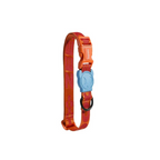 Coleira para cachorros ZeeDog Gibson