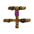 Peitoral H Para Cachorros Honey Zee Dog
