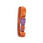 Coleira para cachorros ZeeDog Neopro Iris