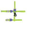 Peitoral + Guia para Gatos ZeeCat Nox Lumen