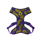 Peitoral para Cachorros Air Mesh Ajustável Zmiley Zeedog