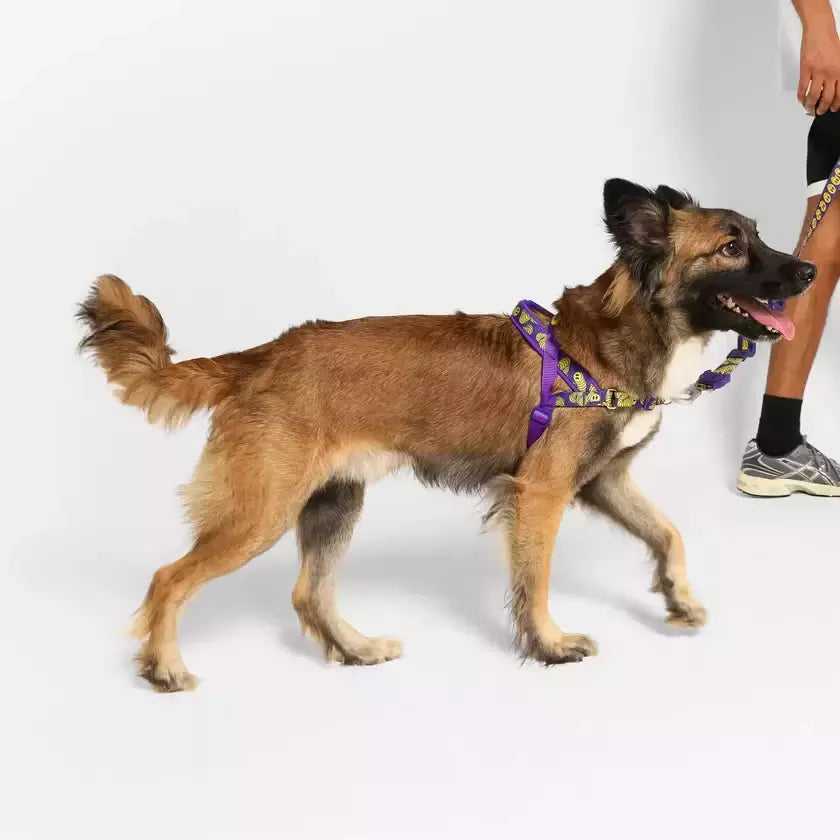 Peitoral Para Cachorros Zee Dog Softer Walk Antipuxão Zmiley
