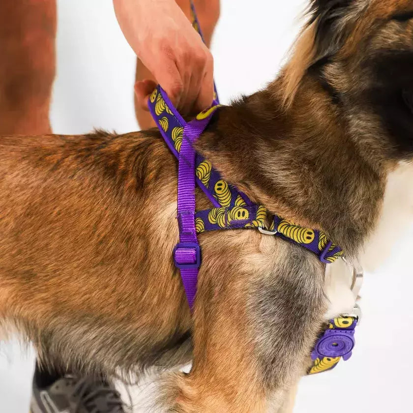 Peitoral Para Cachorros Zee Dog Softer Walk Antipuxão Zmiley