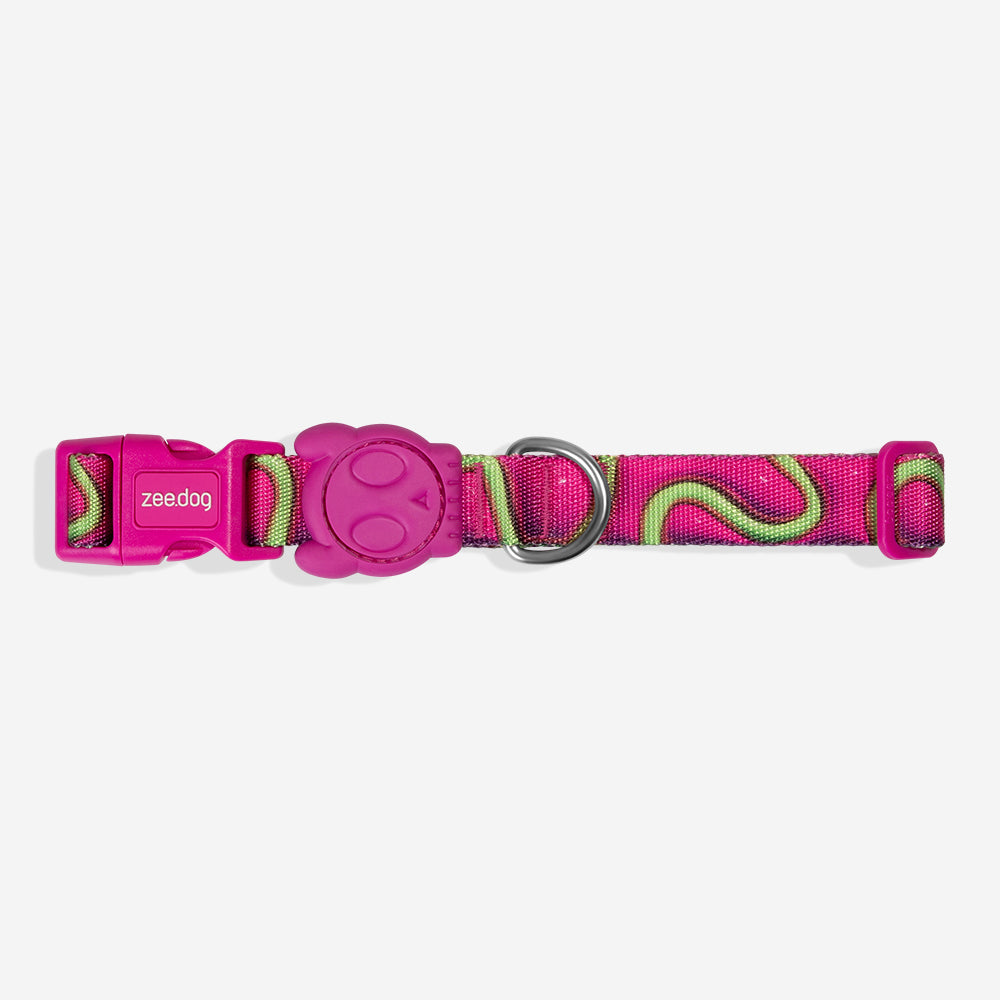 Coleira para Cachorros Zee Dog H3D Jelly
