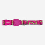 Coleira para Cachorros Zee Dog H3D Jelly
